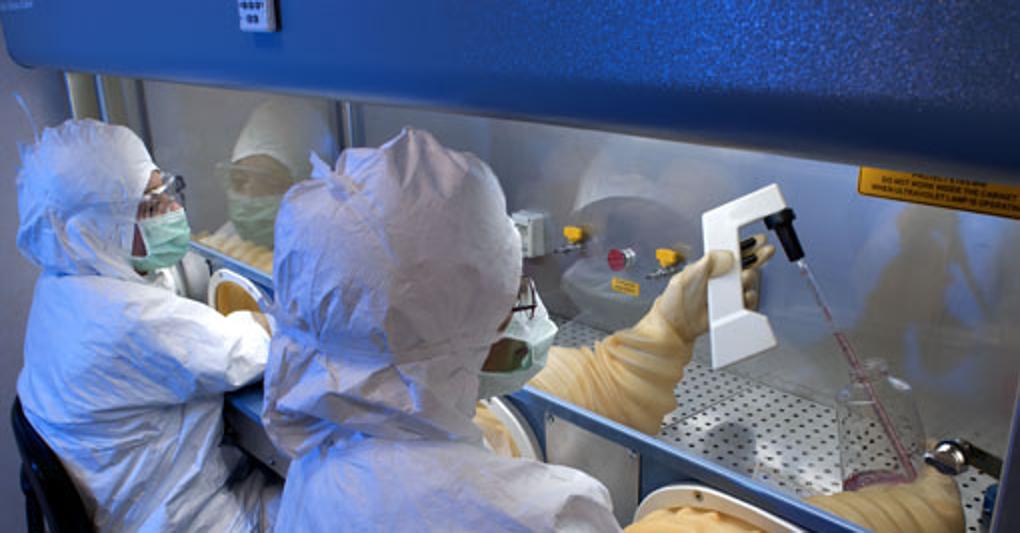 Molmed la giapponese Agc lancia Opa a 0 518 euro Il Sole 24 ORE